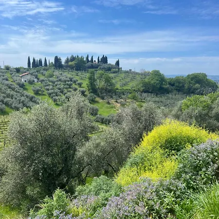 Con Piscina Vicino Roma Villa *