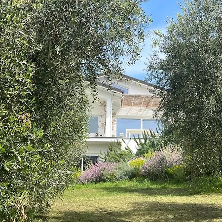 Con Piscina Vicino Roma Villa