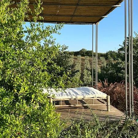 Con Piscina Vicino Roma Coltodino