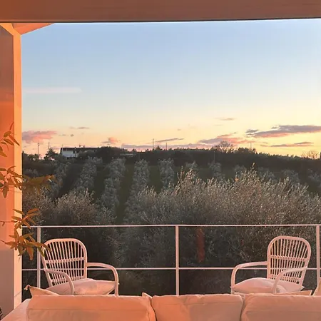 Con Piscina Vicino Roma Villa *