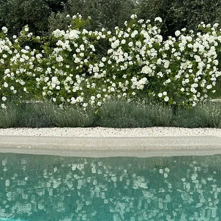 Con Piscina Vicino Roma *
