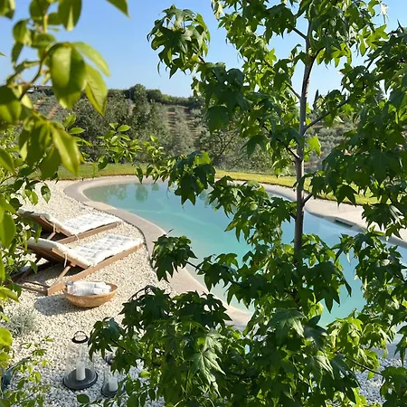 Con Piscina Vicino Roma Coltodino